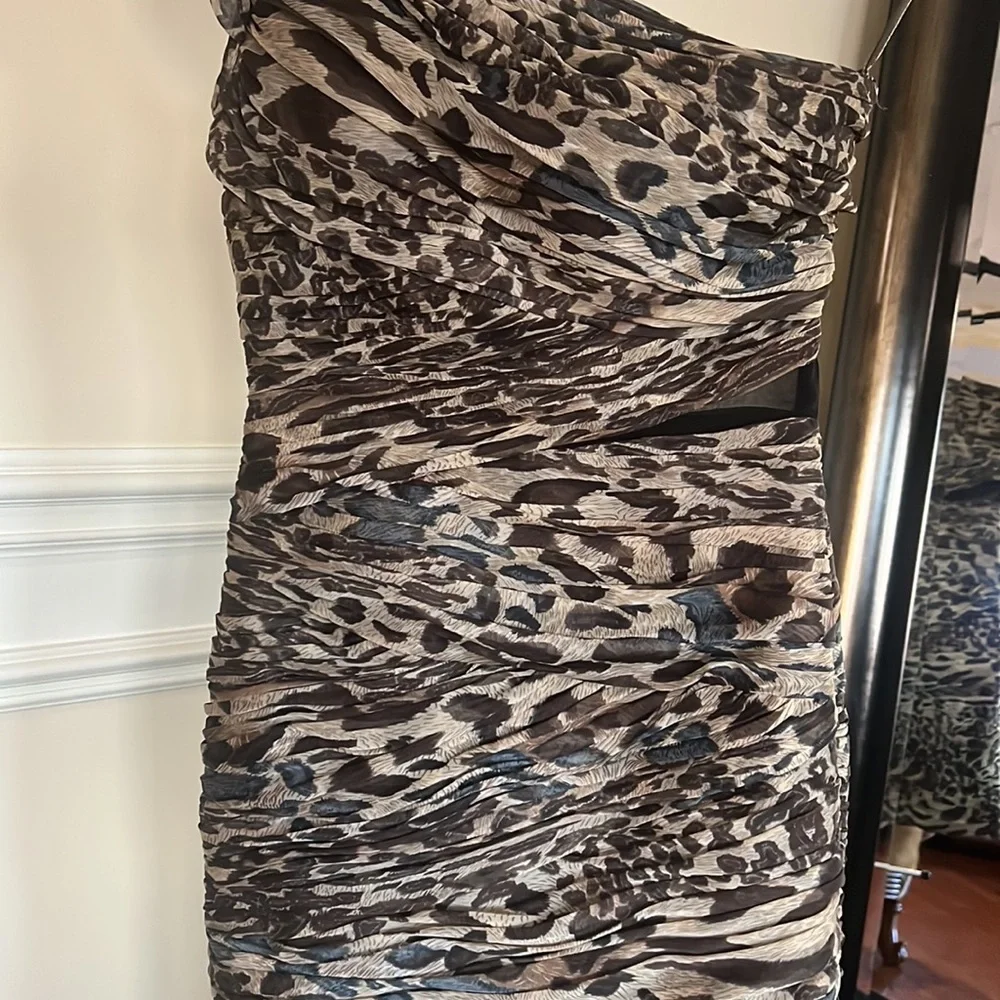 Cache - Picture 3 of 5